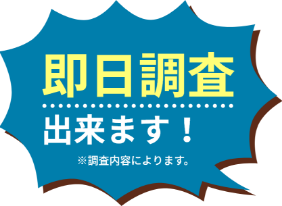 即日調査できます!※調査内容によります。